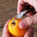 Stainless Steel Unboxing Mini Knife Sharp Portable Folding Small Blade EDC Keychain Hanging Outdoor Camping Knife Multi Tools - Image 5