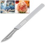 10pcs Carbon Steel Surgical Scalpel Blades + 1pc Handle Scalpel DIY Cutting Tool PCB Repair Animal Surgical Knife - Image 2